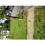 Zdjęcia użytkowników Sony Ericsson K550i