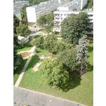 Zdjęcia użytkowników Sony Ericsson K550i