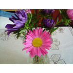 Zdjęcia użytkowników Sony Ericsson K550i