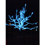 Zdjęcia użytkowników Sony Ericsson K550i