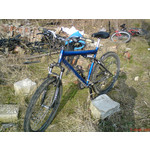 Zdjęcia użytkowników Sony Ericsson K550i