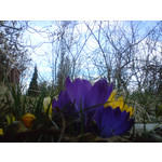 Zdjęcia użytkowników Sony Ericsson K550i