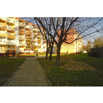 Zdjęcia użytkowników Sony Ericsson K550i