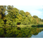 Zdjęcia użytkowników Sony Ericsson K550i