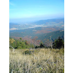 Zdjęcia użytkowników Sony Ericsson K550i