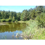 Zdjęcia użytkowników Sony Ericsson K550i