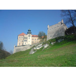 Zdjęcia użytkowników Sony Ericsson K550i