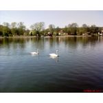 Zdjęcia użytkowników Sony Ericsson K600i