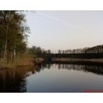 Zdjęcia użytkowników Sony Ericsson K600i