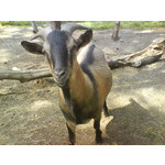 Zdjęcia użytkowników Sony Ericsson K610i Zdjęcia użytkowników Sony Ericsson K610i