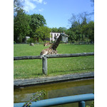 ZDJĘCIA Z TEGO TELEFONU