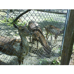 Zdjęcia użytkowników Sony Ericsson K610i Zdjęcia użytkowników Sony Ericsson K610i