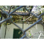 ZDJĘCIA Z TEGO TELEFONU