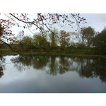 ZDJĘCIA Z TEGO TELEFONU