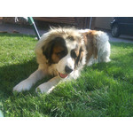 Zdjęcia użytkowników Sony Ericsson K660i