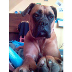 Zdjęcia użytkowników Sony Ericsson K700i Zdjęcia użytkowników Sony Ericsson K700i