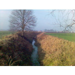 ZDJĘCIA Z TEGO TELEFONU