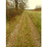 Zdjęcia użytkowników Sony Ericsson K750i