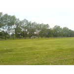 Zdjęcia użytkowników Sony Ericsson K750i