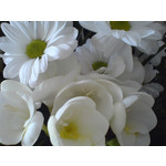 Zdjęcia użytkowników Sony Ericsson K750i