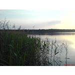 Zdjęcia użytkowników Sony Ericsson K750i