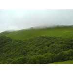 Zdjęcia użytkowników Sony Ericsson K750i