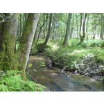 Zdjęcia użytkowników Sony Ericsson K750i