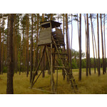 Zdjęcia użytkowników Sony Ericsson K750i