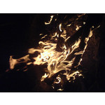 Zdjęcia użytkowników Sony Ericsson K750i