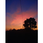 Zdjęcia użytkowników Sony Ericsson K750i