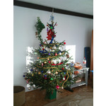 Zdjęcia użytkowników Sony Ericsson K770i