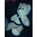 Zdjęcia użytkowników Sony Ericsson K770i