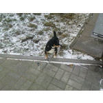 Zdjęcia użytkowników Sony Ericsson K770i