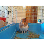 Zdjęcia użytkowników Sony Ericsson K770i