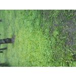 ZDJĘCIA Z TEGO TELEFONU