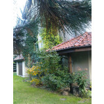 Zdjęcia użytkowników Sony Ericsson K770i