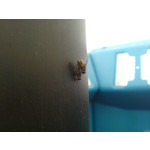 ZDJĘCIA Z TEGO TELEFONU