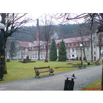 Zdjęcia użytkowników Sony Ericsson K810i