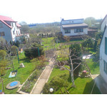 Zdjęcia użytkowników Sony Ericsson K810i