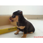 Zdjęcia użytkowników Sony Ericsson K810i