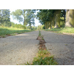 Zdjęcia użytkowników Sony Ericsson K810i