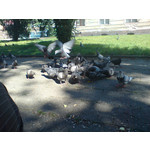 Zdjęcia użytkowników Sony Ericsson K810i