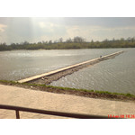 Zdjęcia użytkowników Sony Ericsson K810i