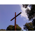 Zdjęcia użytkowników Sony Ericsson Naite