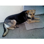 Zdjęcia użytkowników Sony Ericsson Naite