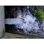 Zdjęcia użytkowników Sony Ericsson Naite