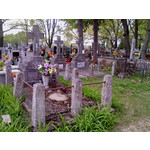 Zdjęcia użytkowników Sony Ericsson Naite