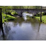 Zdjęcia użytkowników Sony Ericsson Naite