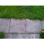 Zdjęcia użytkowników Sony Ericsson Naite