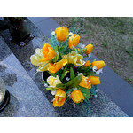 Zdjęcia użytkowników Sony Ericsson Naite